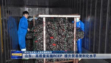 RCEP協定進入全面實施新階段——山東高質量實施RCEP提升貿易便利化水平，推動貨物進出口發展